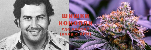 альфа пвп Корсаков
