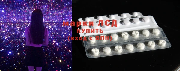 индика Галич