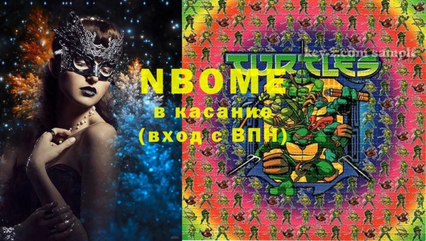 индика Галич
